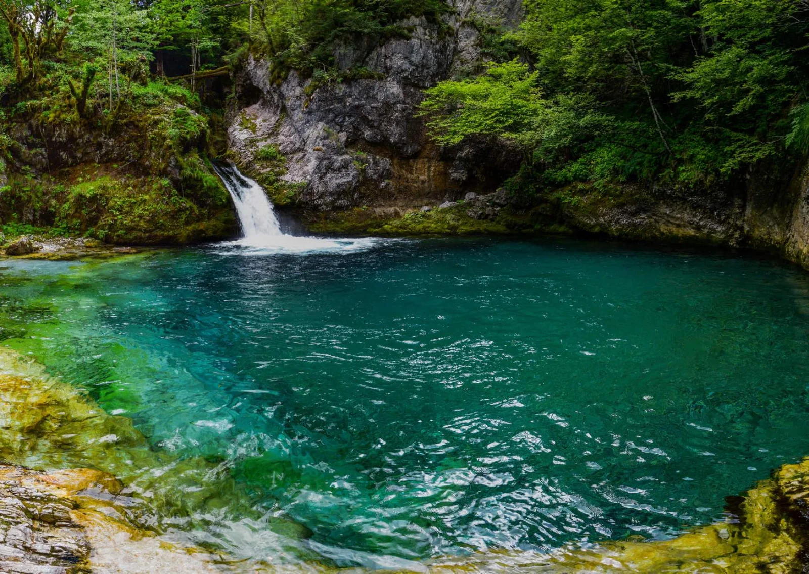 Blue Eye Spring (Syri i Kaltër)