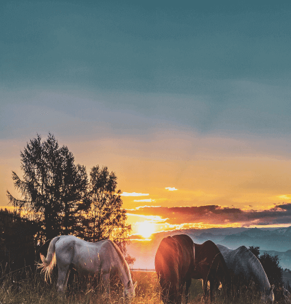 Albanian Alps Trekking